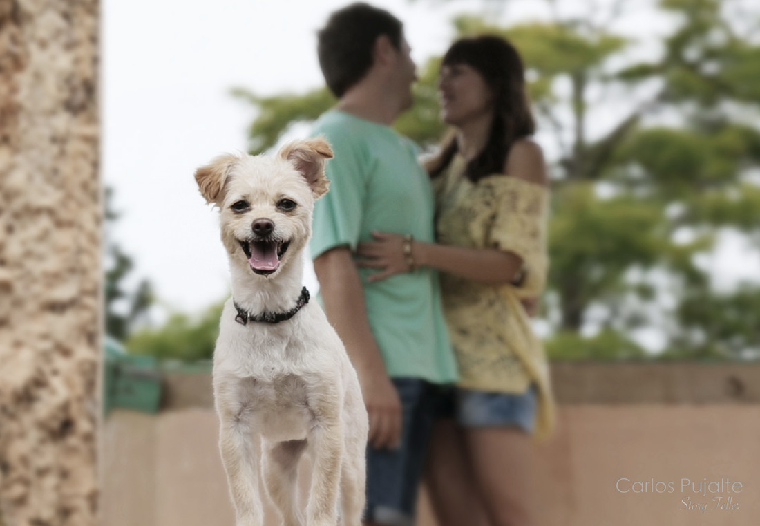 Pelicula de boda_0H7C6288